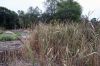 Filename=MLT_100721.jpg
Filesize=390KiB
Dimensions=1080x720
Date added=Oct 06, 2021 MLT_100721.jpg
