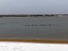 Filename=MNHM_3132.jpg
Filesize=72KiB
Dimensions=960x720
Date added=Feb 08, 2023 MNHM_3132.jpg