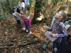 Filename=MNHM_Nature_8941.jpg
Filesize=212KiB
Dimensions=960x720
Date added=Oct 31, 2019 MNHM_Nature_8941.jpg