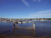 Filename=MNHM_Sept_2012_021.jpg
Filesize=180KiB
Dimensions=1200x900
Date added=Sep 26, 2012 MNHM_Sept_2012_021.jpg