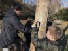 MNHM_bark_0394.jpg