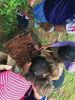 Filename=MNHM_summer_6523.jpg
Filesize=146KiB
Dimensions=540x720
Date added=Jul 17, 2019 MNHM_summer_6523.jpg