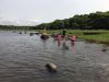 Filename=MNHM_summer_6739.jpg
Filesize=168KiB
Dimensions=960x720
Date added=Jul 17, 2019 MNHM_summer_6739.jpg