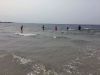 Filename=MNHM_summer_6747.jpg
Filesize=115KiB
Dimensions=960x720
Date added=Jul 17, 2019 MNHM_summer_6747.jpg