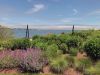 Filename=MR-Garden-062923-MGG-Converse-Point.jpg
Filesize=258KiB
Dimensions=960x720
Date added=Jun 28, 2023 MR-Garden-062923-MGG-Converse-Point.jpg