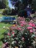 Filename=MR-Garden-062923-higher-res.jpg
Filesize=196KiB
Dimensions=540x720
Date added=Jun 28, 2023 MR-Garden-062923-higher-res.jpg