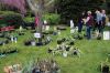 MR-Garden-Group-Plant-Sale-051624-9834.jpg