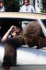 Filename=MR_4th_parade_2860.jpg
Filesize=70KiB
Dimensions=480x720
Date added=Jul 06, 2017 MR_4th_parade_2860.jpg