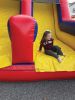 Filename=MRfdOpenHouse_2636.jpg
Filesize=98KiB
Dimensions=540x720
Date added=Oct 16, 2024 MRfdOpenHouse_2636.jpg