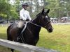 MRhorse_m_2774.jpg