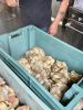MRsocial_Clam__1698.jpg