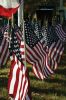 Filename=MRvets_9640.jpg
Filesize=117KiB
Dimensions=480x720
Date added=Nov 16, 2016 MRvets_9640.jpg