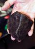 Filename=MTLIB_meteorite.jpg
Filesize=65KiB
Dimensions=528x720
Date added=Jan 17, 2018 MTLIB_meteorite.jpg