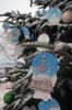 Filename=MTchristmas_1469.jpg
Filesize=90KiB
Dimensions=480x720
Date added=Dec 14, 2017 MTchristmas_1469.jpg