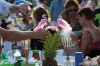 Filename=MTcomPicnic_3537.jpg
Filesize=148KiB
Dimensions=1080x720
Date added=Aug 09, 2017 MTcomPicnic_3537.jpg
