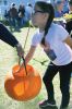 Filename=MTfunFair_7765.jpg
Filesize=105KiB
Dimensions=481x720
Date added=Oct 25, 2017 MTfunFair_7765.jpg
