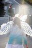 Filename=MThalloParade_8481.jpg
Filesize=60KiB
Dimensions=480x720
Date added=Nov 04, 2015 MThalloParade_8481.jpg