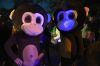 Filename=MThalloween_8639.jpg
Filesize=51KiB
Dimensions=648x433
Date added=Nov 01, 2017 MThalloween_8639.jpg