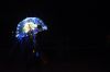 Filename=MThalloween_8725.jpg
Filesize=23KiB
Dimensions=648x433
Date added=Nov 01, 2017 MThalloween_8725.jpg
