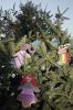 Filename=MTxmassTree_4922.jpg
Filesize=150KiB
Dimensions=480x720
Date added=Dec 12, 2018 MTxmassTree_4922.jpg