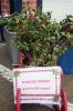 Filename=MWC-Wreaths-120723-7428.jpg
Filesize=133KiB
Dimensions=480x720
Date added=Dec 06, 2023 MWC-Wreaths-120723-7428.jpg