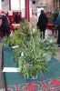 Filename=MWC-Wreaths-120723-7431.jpg
Filesize=140KiB
Dimensions=480x720
Date added=Dec 06, 2023 MWC-Wreaths-120723-7431.jpg