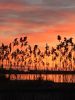 Filename=MacLeanSunrise_4.jpg
Filesize=88KiB
Dimensions=540x720
Date added=Jan 02, 2019 MacLeanSunrise_4.jpg