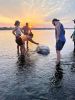 Manatee_02.jpg