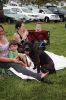 Filename=Marion-Bandstand-072723-19_17_59-2.jpg
Filesize=125KiB
Dimensions=480x720
Date added=Jul 26, 2023 Marion-Bandstand-072723-19_17_59-2.jpg