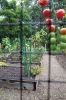Filename=Marion-Garden-100523-5408.jpg
Filesize=182KiB
Dimensions=480x720
Date added=Oct 04, 2023 Marion-Garden-100523-5408.jpg