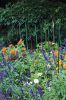 Filename=Marion-Garden-100523-5410.jpg
Filesize=165KiB
Dimensions=480x720
Date added=Oct 04, 2023 Marion-Garden-100523-5410.jpg