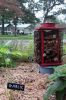 Filename=Marion-Garden-100523-5459.jpg
Filesize=142KiB
Dimensions=480x720
Date added=Oct 04, 2023 Marion-Garden-100523-5459.jpg