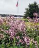 Filename=Marion-Garden-Society-13.jpg
Filesize=212KiB
Dimensions=576x720
Date added=Jun 30, 2021 Marion-Garden-Society-13.jpg