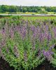 Filename=Marion-Garden-Society-14.jpg
Filesize=248KiB
Dimensions=576x720
Date added=Jun 30, 2021 Marion-Garden-Society-14.jpg