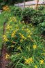 Filename=Marion-Garden-Society-16.jpg
Filesize=225KiB
Dimensions=481x720
Date added=Jun 30, 2021 Marion-Garden-Society-16.jpg