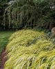 Filename=Marion-Garden-Society-17.jpg
Filesize=241KiB
Dimensions=576x720
Date added=Jun 30, 2021 Marion-Garden-Society-17.jpg
