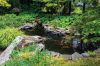 Filename=Marion-Garden-Society-18.jpg
Filesize=445KiB
Dimensions=1079x720
Date added=Jun 30, 2021 Marion-Garden-Society-18.jpg