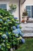 Filename=Marion-Garden-Society-2.jpg
Filesize=157KiB
Dimensions=481x720
Date added=Jun 30, 2021 Marion-Garden-Society-2.jpg