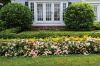 Filename=Marion-Garden-Society-21.jpg
Filesize=404KiB
Dimensions=1078x720
Date added=Jun 30, 2021 Marion-Garden-Society-21.jpg