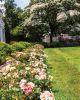 Filename=Marion-Garden-Society-22.jpg
Filesize=254KiB
Dimensions=576x720
Date added=Jun 30, 2021 Marion-Garden-Society-22.jpg