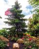 Filename=Marion-Garden-Society-5.jpg
Filesize=200KiB
Dimensions=576x720
Date added=Jun 30, 2021 Marion-Garden-Society-5.jpg