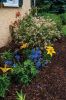 Filename=Marion-Garden-Society-8.jpg
Filesize=198KiB
Dimensions=481x720
Date added=Jun 30, 2021 Marion-Garden-Society-8.jpg