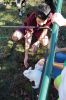Filename=Marion-Palooza-110223-170.jpg
Filesize=135KiB
Dimensions=480x720
Date added=Nov 01, 2023 Marion-Palooza-110223-170.jpg