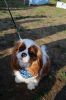 Filename=Marion-Party-090122-Fitzy.jpg
Filesize=182KiB
Dimensions=648x972
Date added=Aug 31, 2022 Marion-Party-090122-Fitzy.jpg