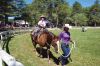 Filename=MarionHorseShow_0099.jpg
Filesize=370KiB
Dimensions=1082x720
Date added=Jul 07, 2016 MarionHorseShow_0099.jpg