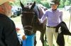 Filename=MarionHorseShow_0136.jpg
Filesize=166KiB
Dimensions=1082x720
Date added=Jul 07, 2016 MarionHorseShow_0136.jpg