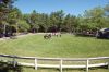 Filename=MarionHorseShow_0142.jpg
Filesize=340KiB
Dimensions=1082x720
Date added=Jul 07, 2016 MarionHorseShow_0142.jpg