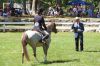 MarionHorseShow_7575.jpg