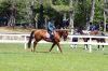 MarionHorseShow_7606.jpg