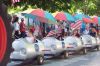 Filename=MarionParade_7506.jpg
Filesize=208KiB
Dimensions=1082x720
Date added=Jul 07, 2016 MarionParade_7506.jpg